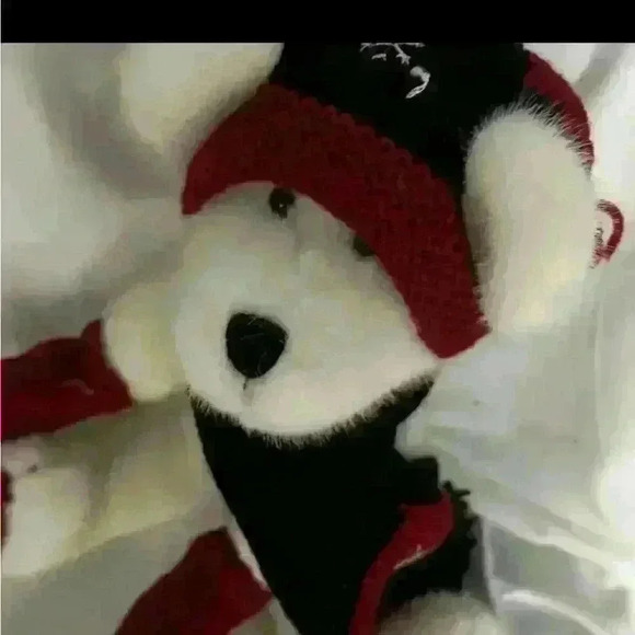 Boyds bear collection, Sergei Bearskov - Picture 1 of 5